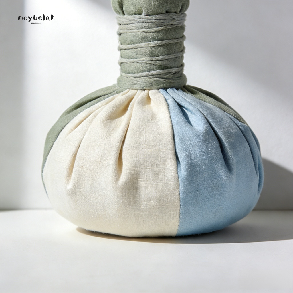 ชุดถุงถ่านไม้ไผ่ฟอกอากาศ (20 ชิ้น)