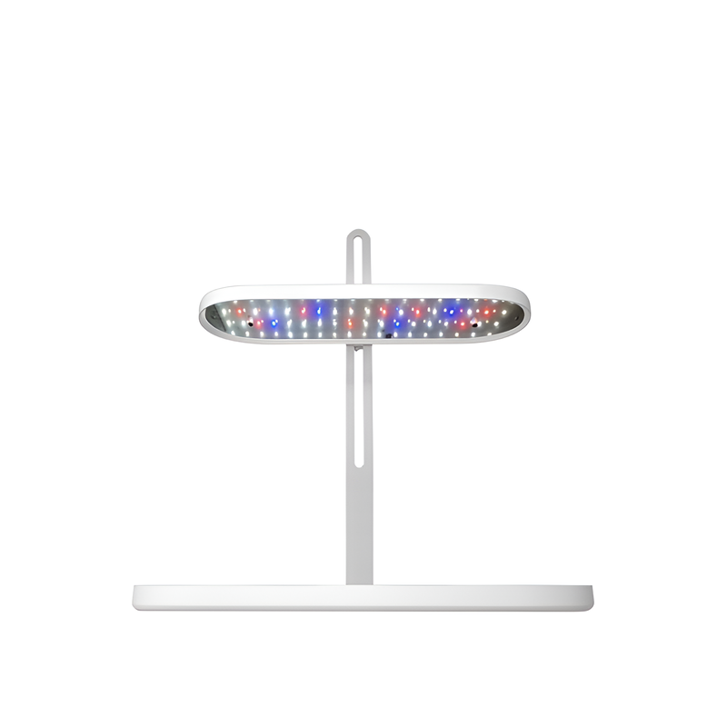 Adjustable Brightness Succulent Grow Light with Timer