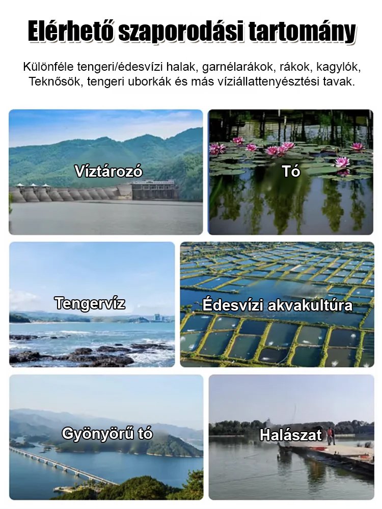 【Egy zacskó tíz holdra】 Halakat és garnélákat nem károsító víztisztító szer víziállattenyésztéshez