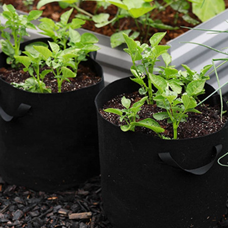 부직포 식물 심기 가방