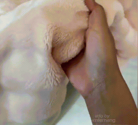 b023f60d19bc4803e95e069e35001173.gif