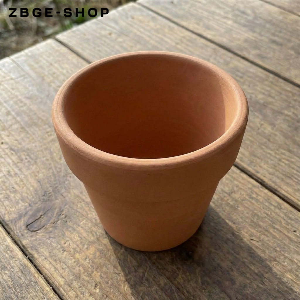 Moderner kleiner Blumentopf für Sukkulenten