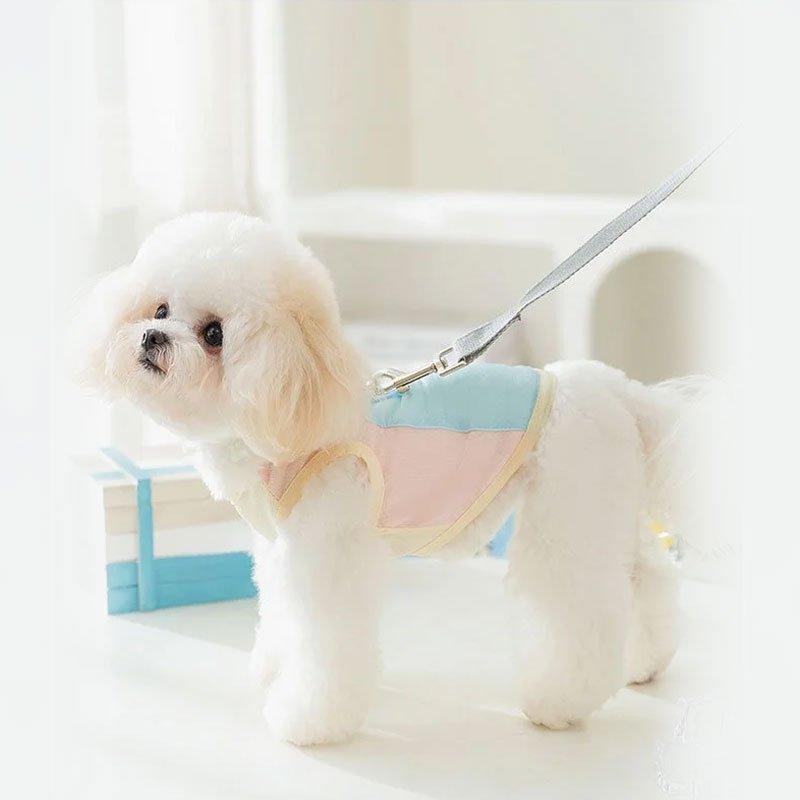 เสื้อกั๊กสุนัขระบายอากาศป้องกันแสงแดด