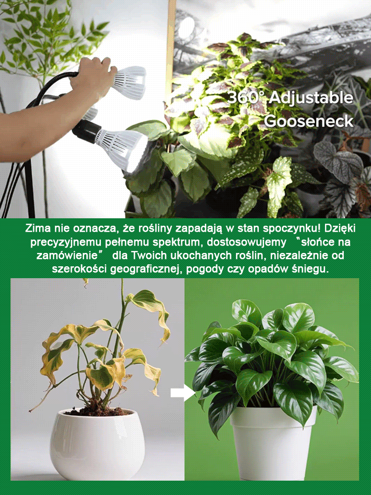 Regulowana dwugłowicowa lampa LED do wzrostu roślin i zwierząt z klipsem