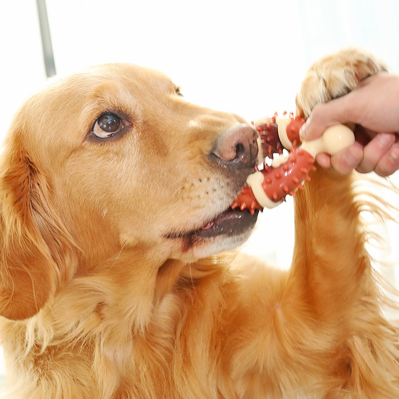 寵物耐咬磨牙骨