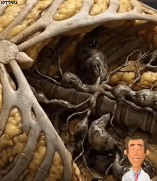 Honeycam 2026-05-15 17-42-22.gif