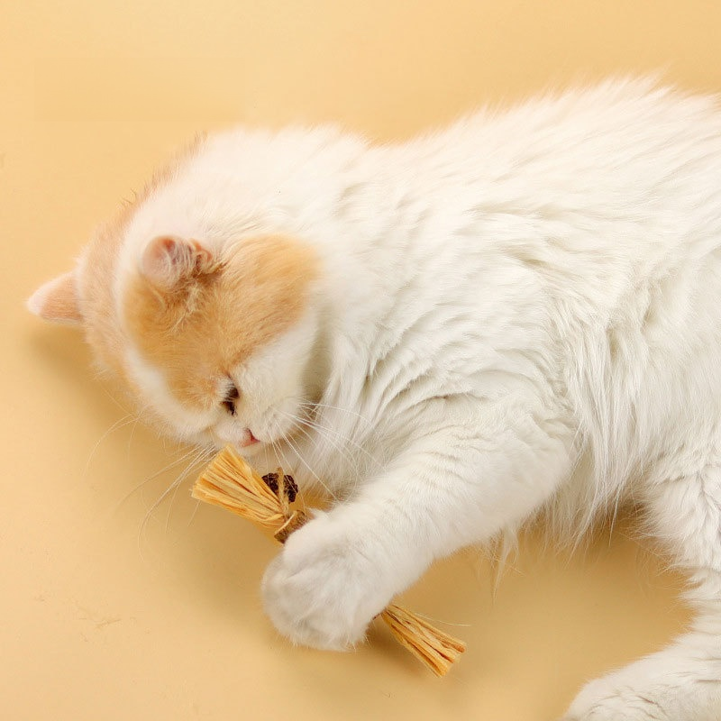 Mugwort Pet Chew Stick