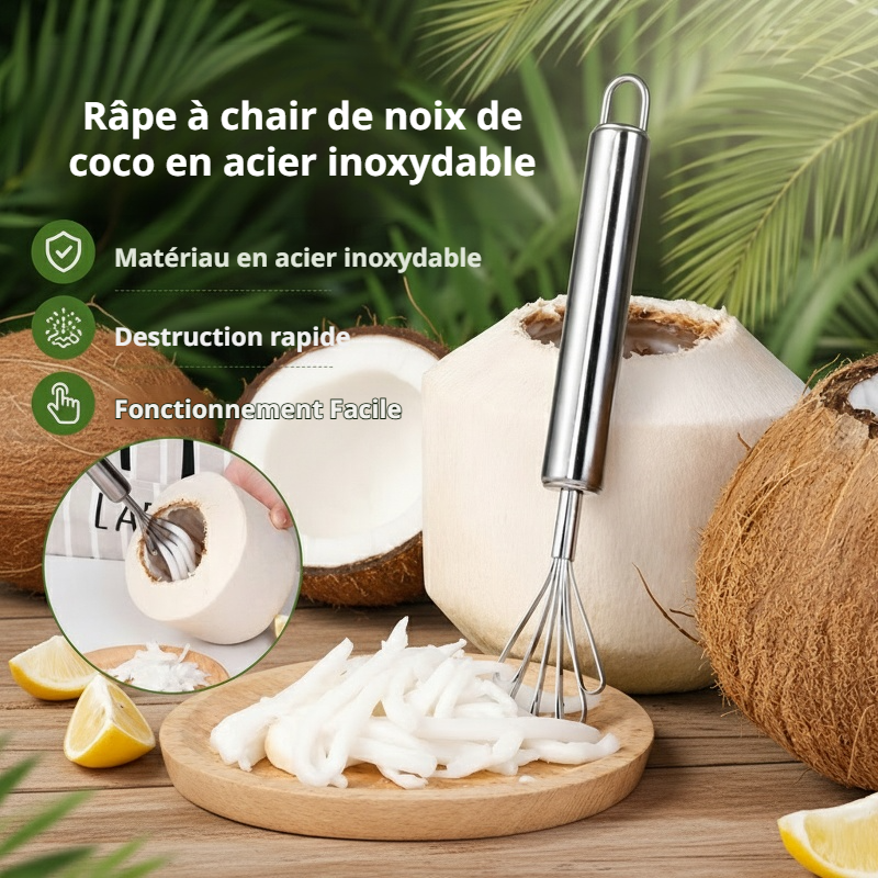 Râpe à noix de coco en acier inoxydable