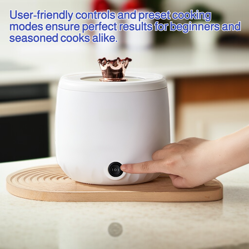Multifunctional household electric cooker