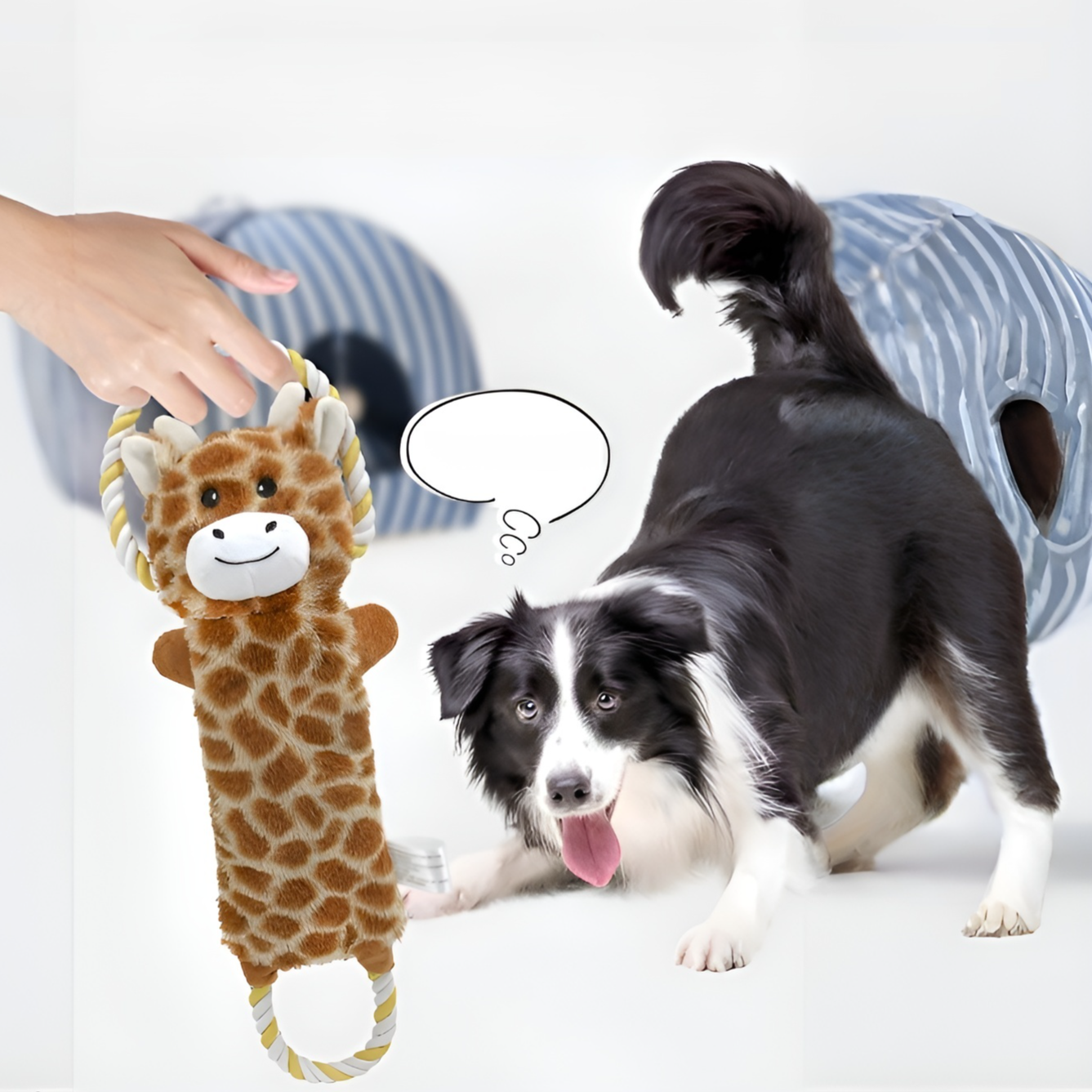 寵物磨牙潔齒玩具