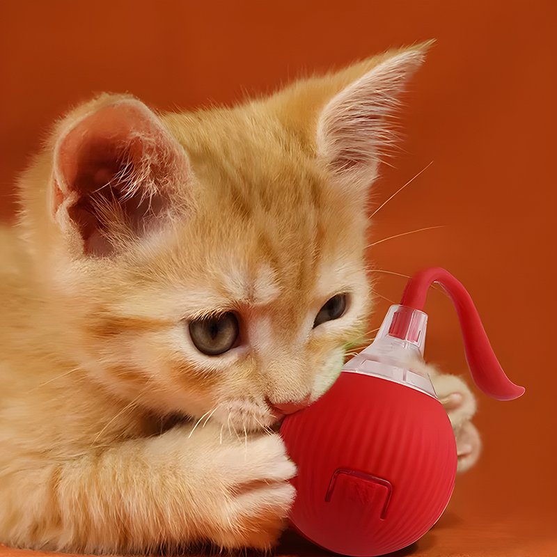 Anti bite automatic teasing cat ball cat toy
