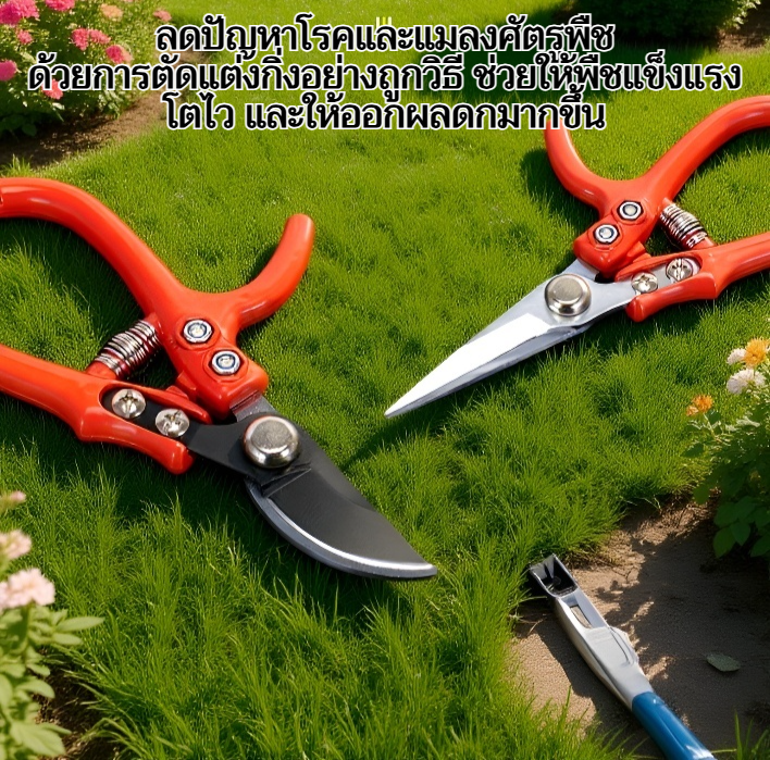 วิธีการต่อกิ่งต้นไม้แบบมืออาชีพ