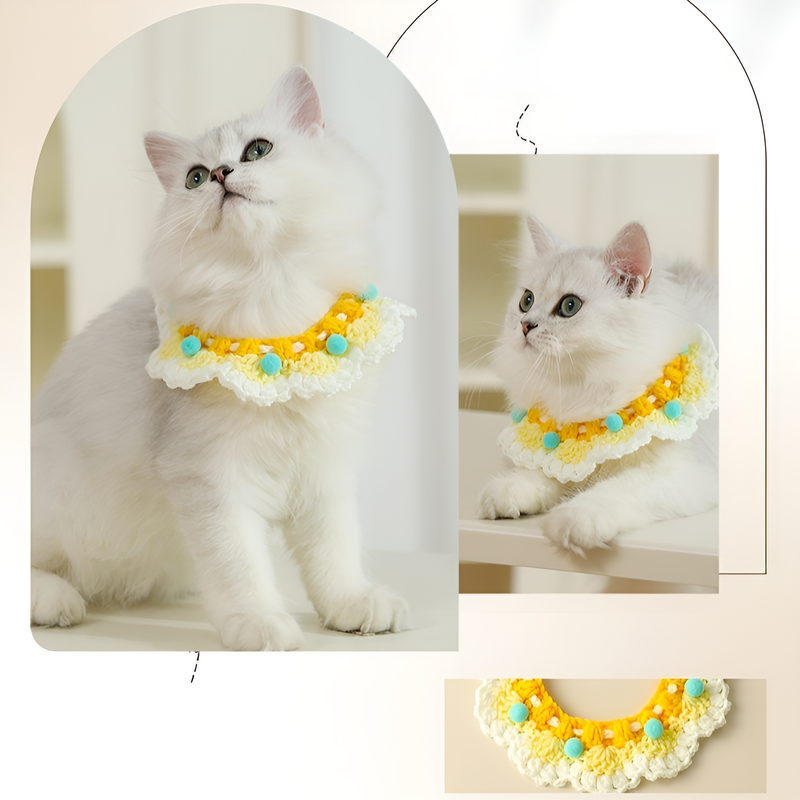 ปลอกคอแมวแฟชั่น สร้อยคอตกแต่ง