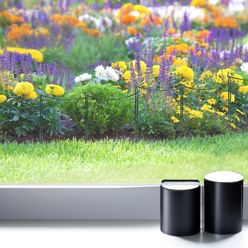 حامل نبات حلقي يوفر نموًا صحياً للنباتات