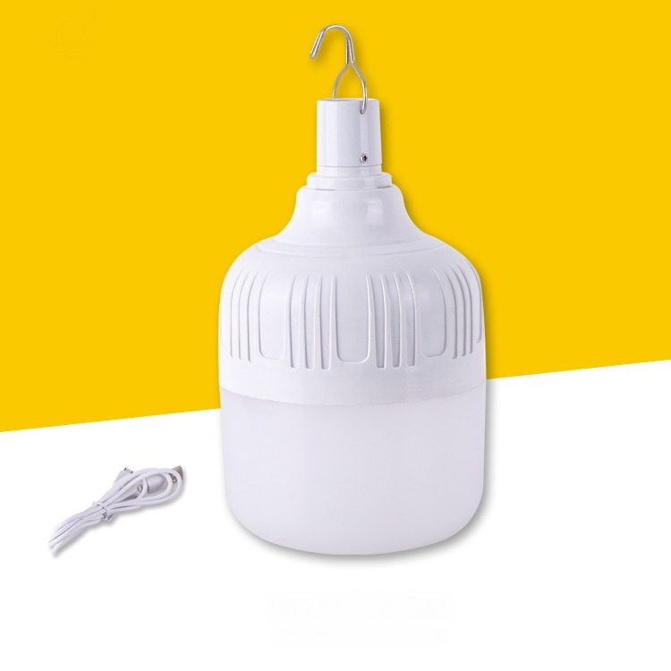 Portable LED pendant light bulb