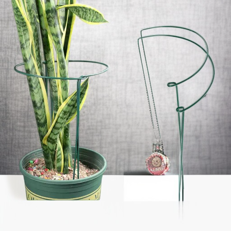 حامل نبات حلقي داعم