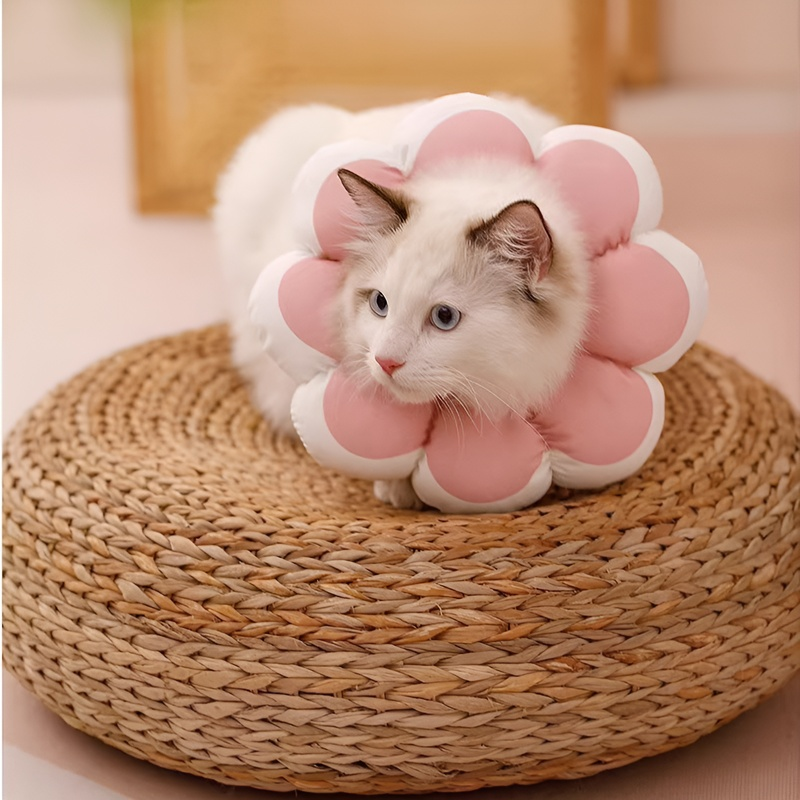 แถบคาดศีรษะและปลอกคอที่นุ่มขึ้น ป้องกันการกัดและเลีย