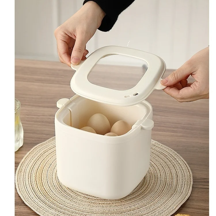 Fully Automatic Multi-Functional Mini Egg Cooker
