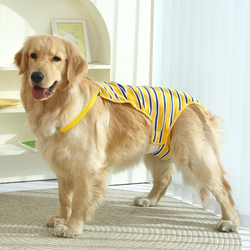 Dog physiological pants for large dogs to prevent mating