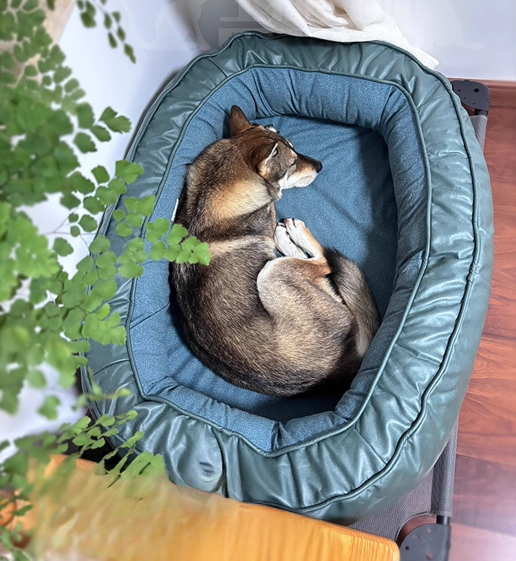 Oval Pet Bed Cushion