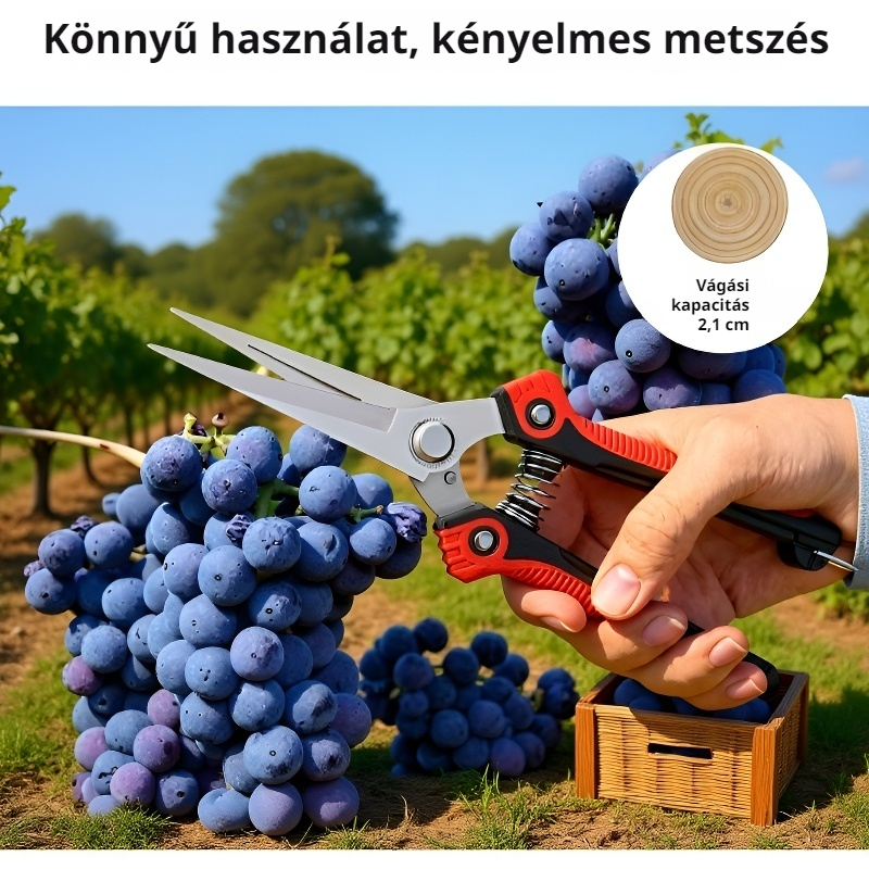 Kerti metszőolló, amely megkönnyíti a munkát 