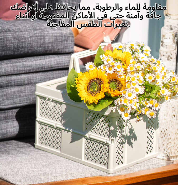 سلة نزهات بلاستيكية لحفظ الطعام والمشروبات