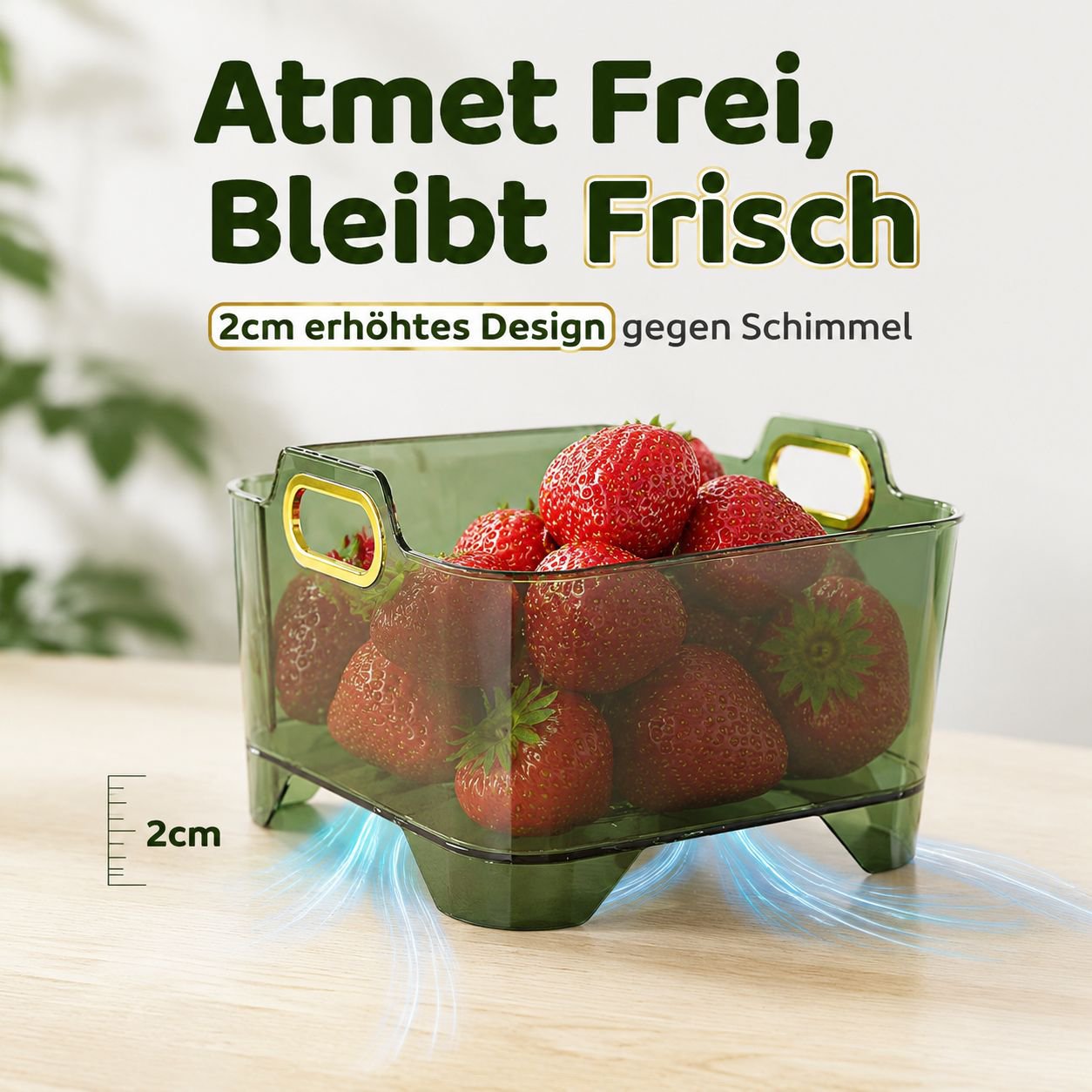 Multifunktionaler Obstkorb für das Wohnzimmer
