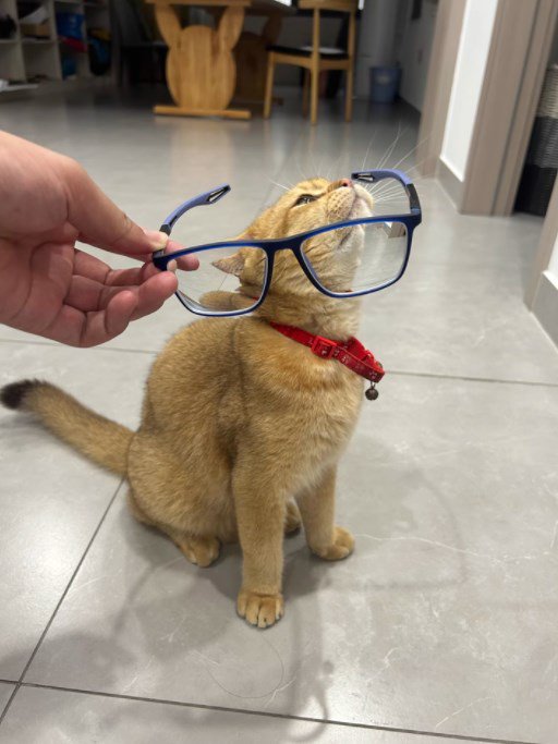 Foto de comprador 1