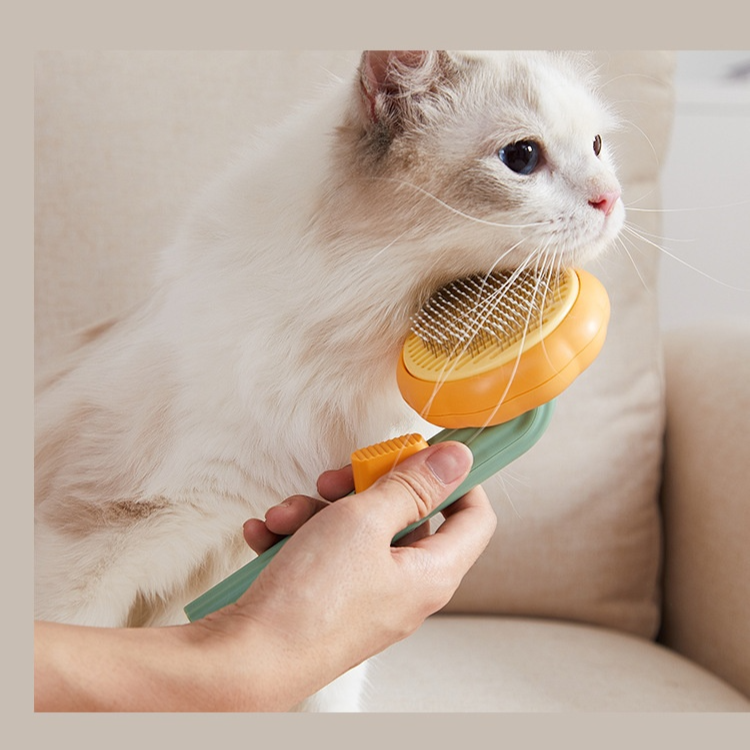 Kamm in Kürbisform für Katzen