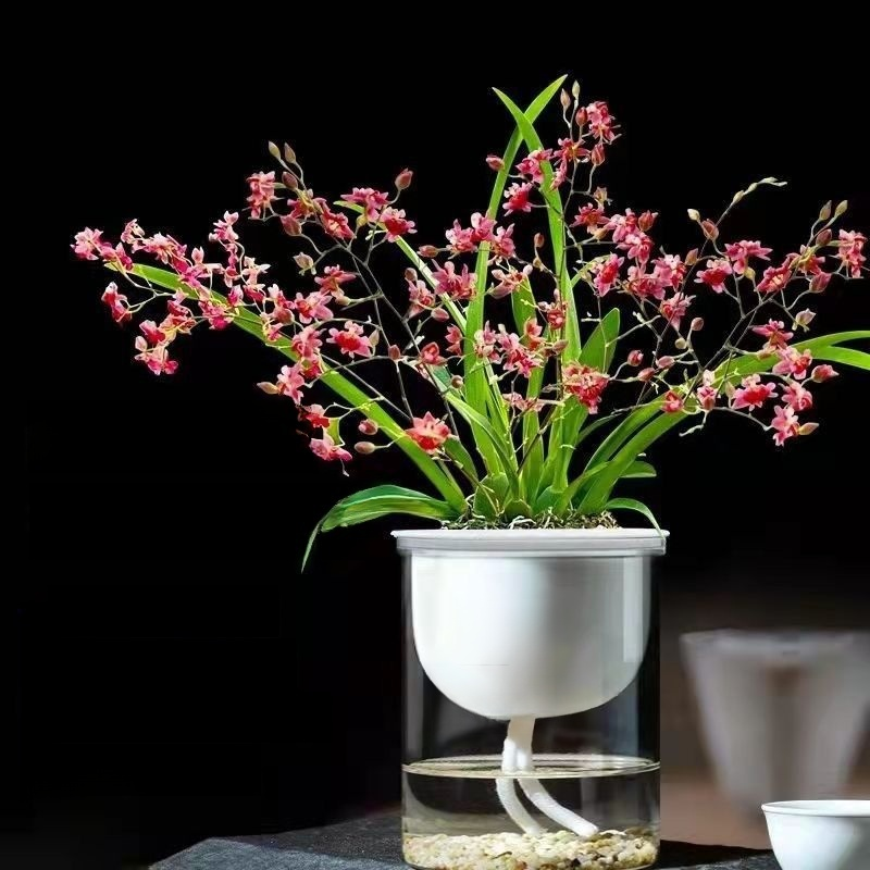 Green plants and fragrant potted flowers