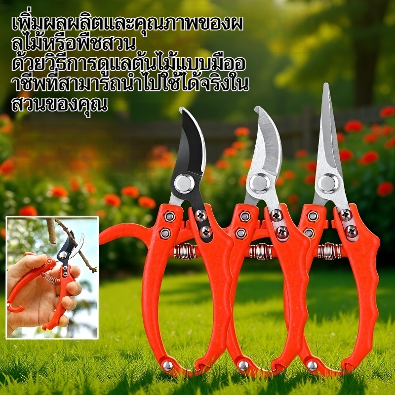 การทำสวน การต่อกิ่ง การตัดแต่งกิ่ง