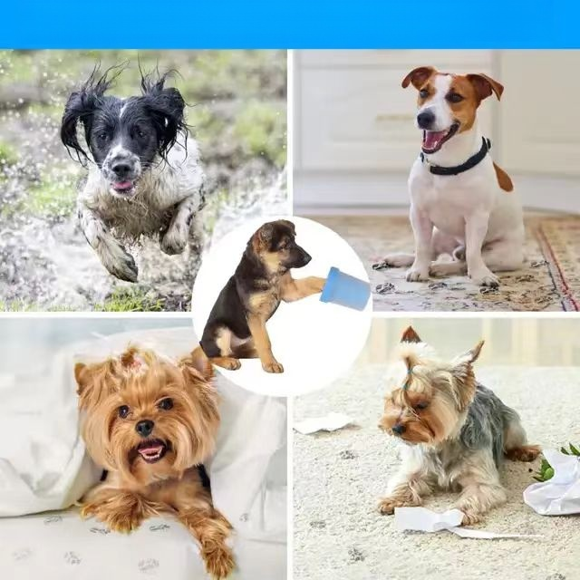 ペットの足クリーナー