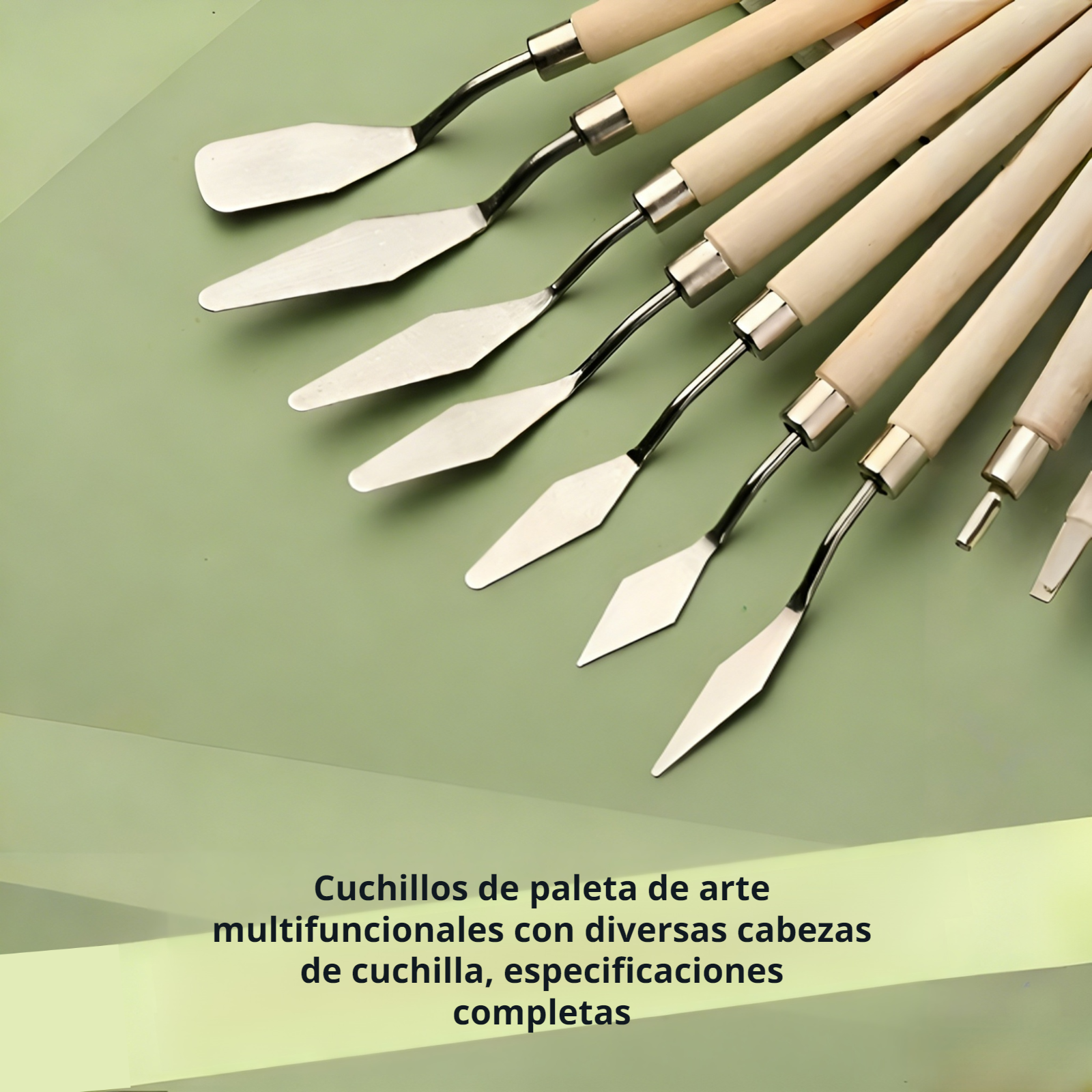 Kit de 5 cuchillos de paleta de acero inoxidable, paletas puntiagudas