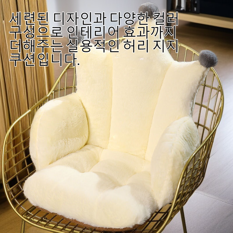 인체공학적 디자인의 허리 지지 쿠션 측면 모습