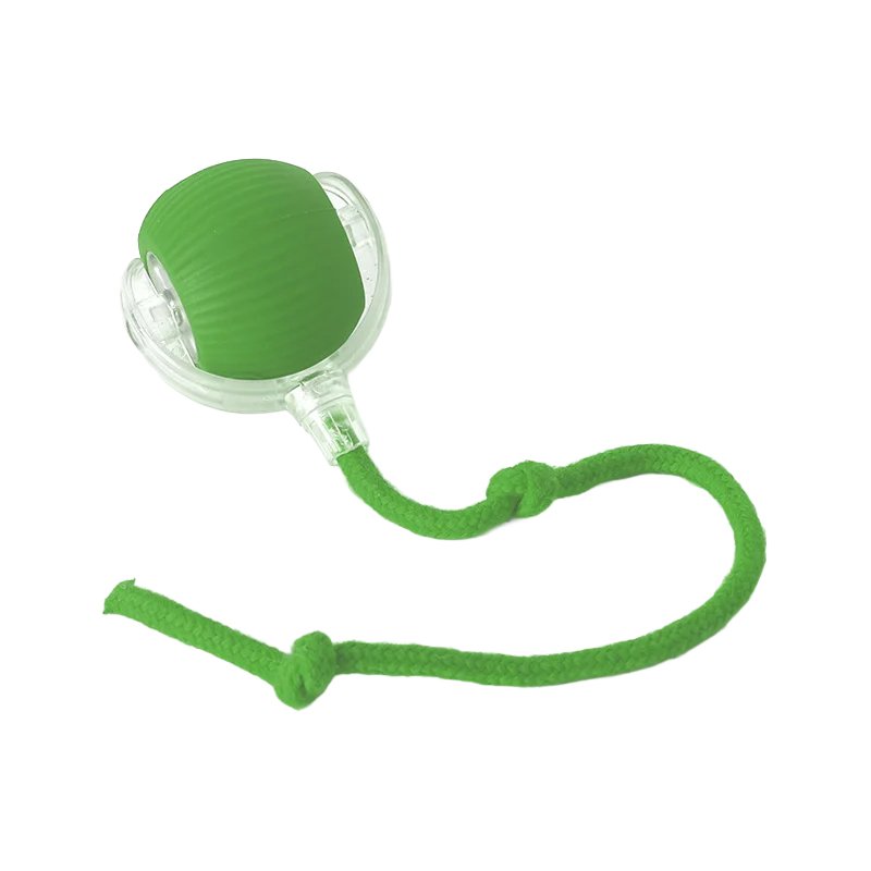 ペット訓練犬の運動種目