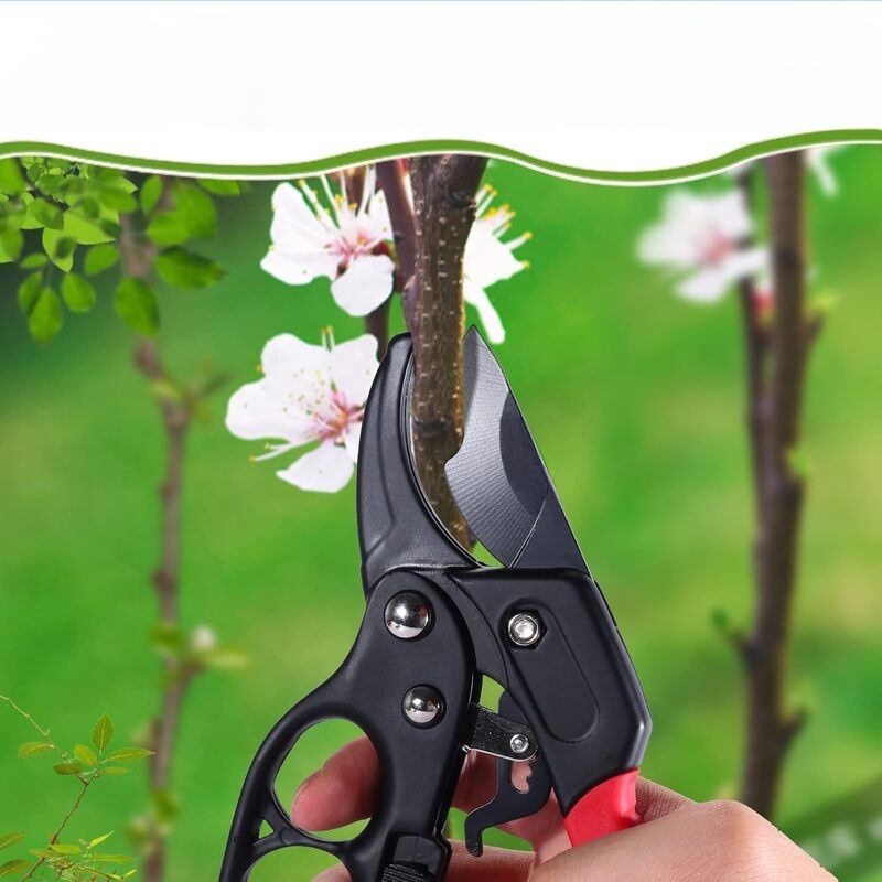 Stainless steel pruning shears for pruning branches