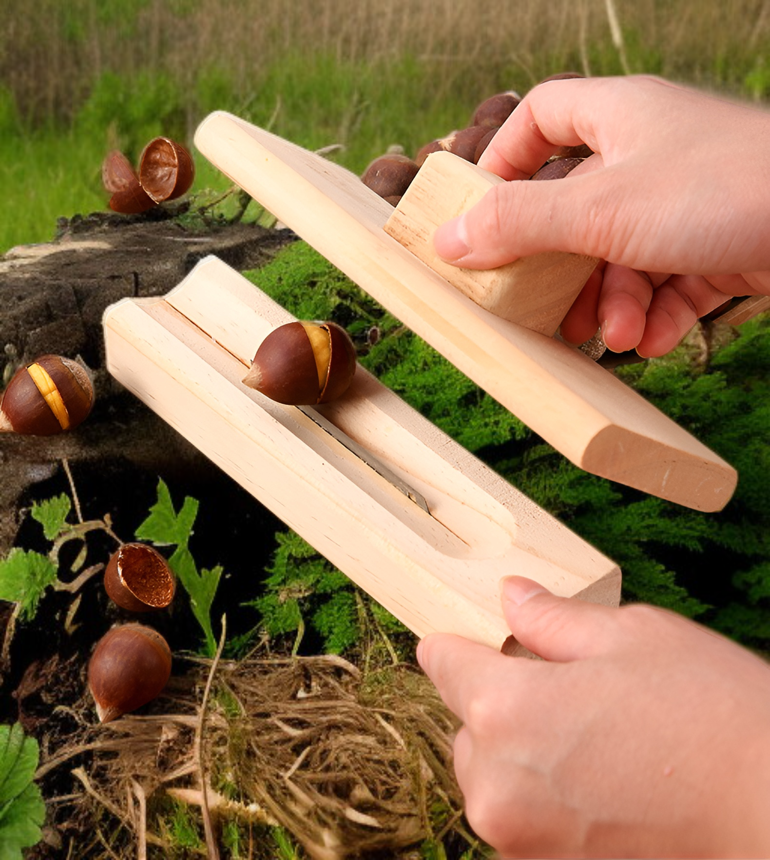 Narzędzie do otwierania kasztanów