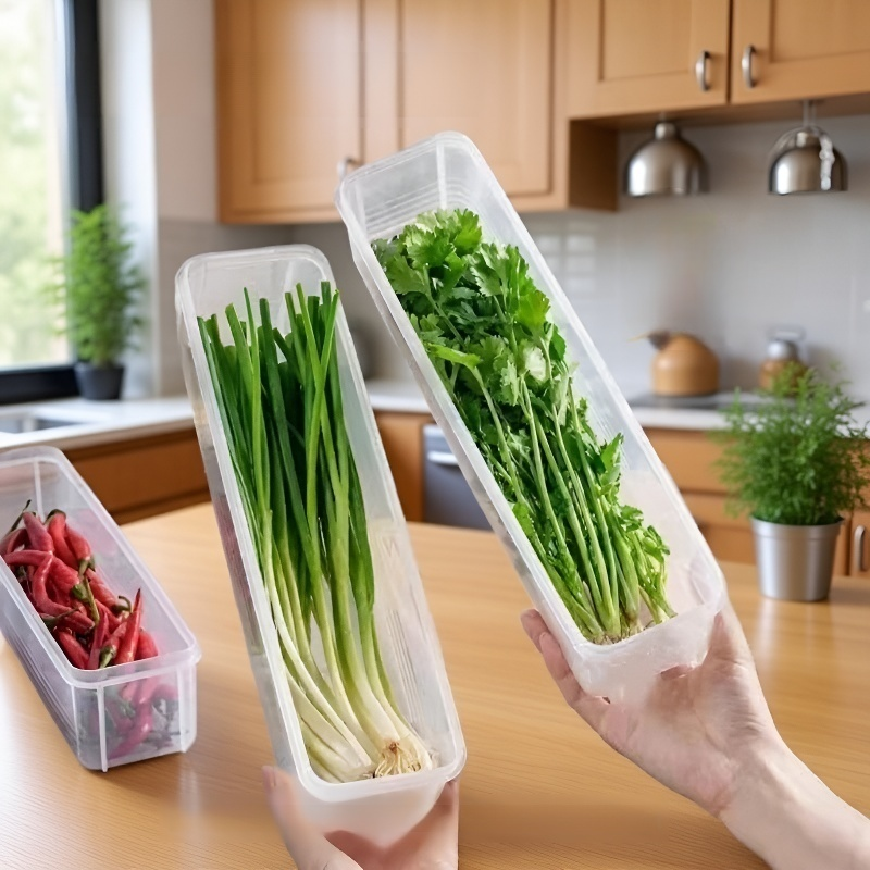 녹색 채소와 파를 보관하기 좋은 직사각형 식품 보관함