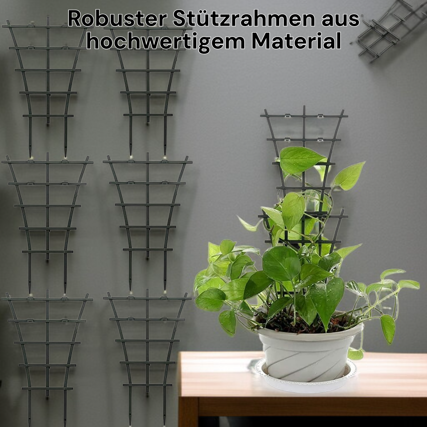 Stützrahmen für Gartenpflanzen