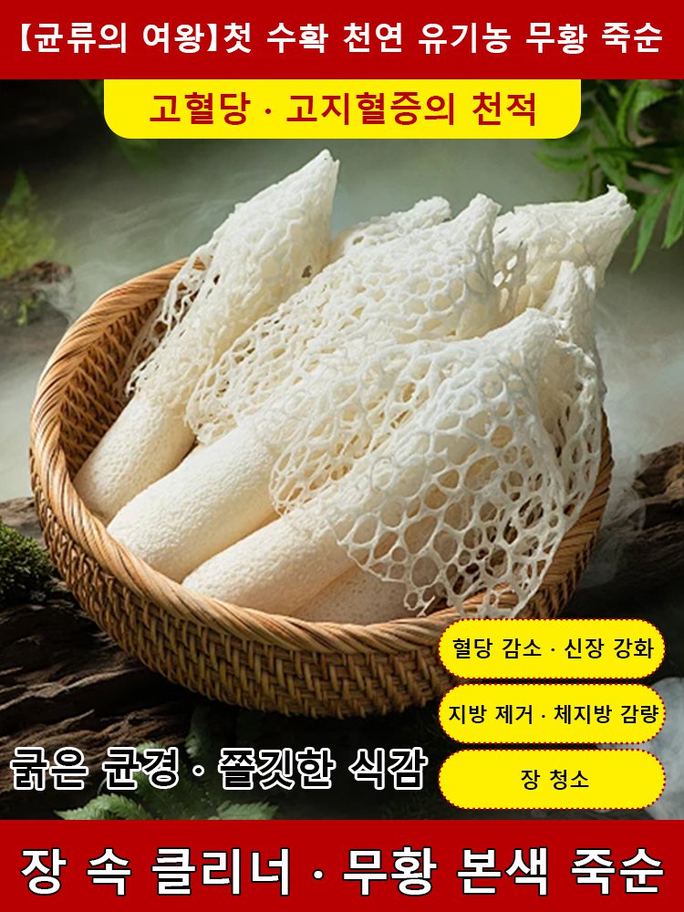 【균류의 여왕】첫 수확 천연 유기농 무황 죽순