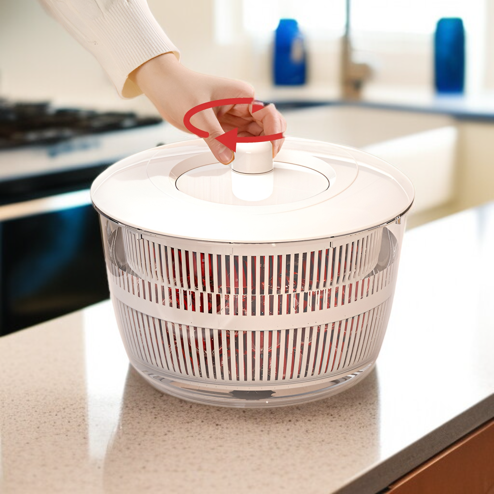 가정용 야채 건조기