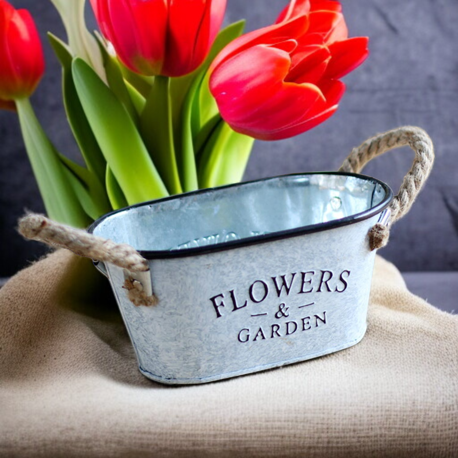 Amerikanischer Landhausstil Eisen Blumentopf Modisch Kreativ