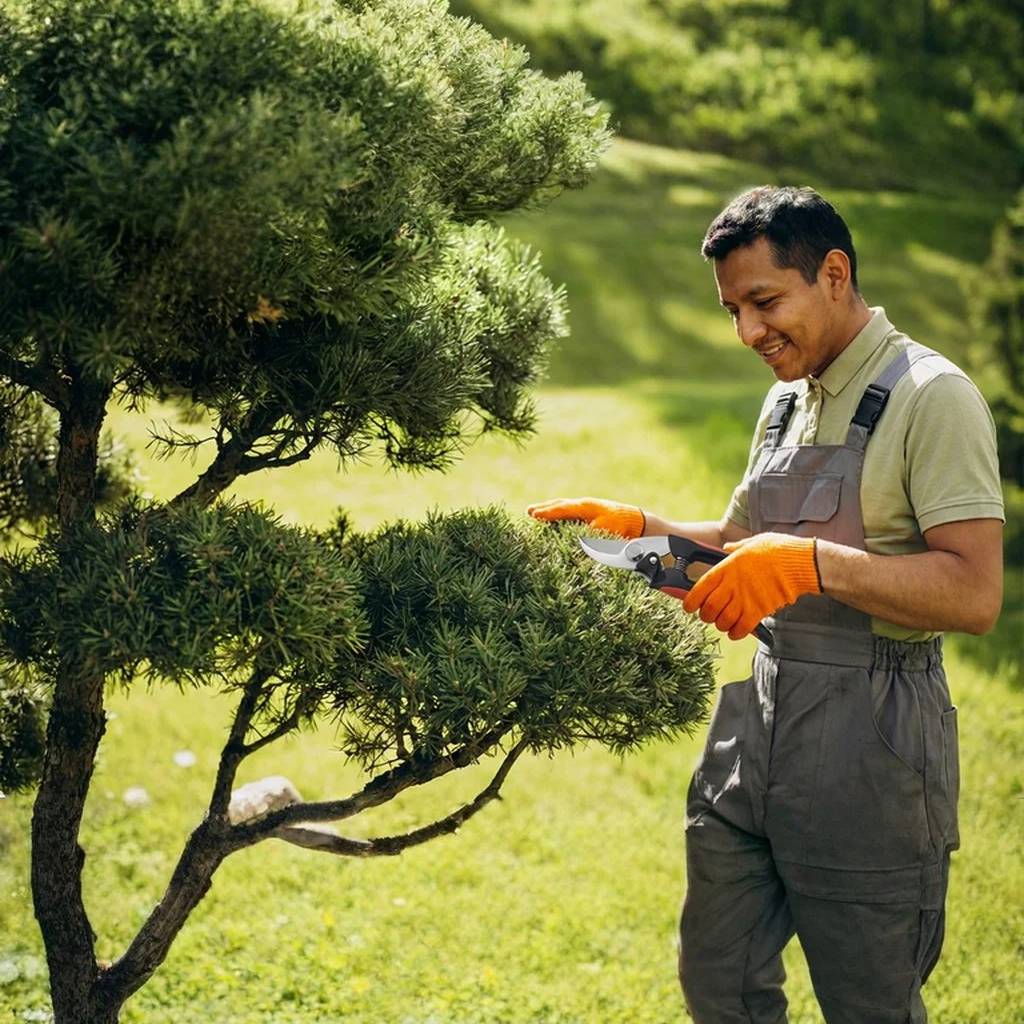 Tijera para ramas gruesas de acero de aleación dura