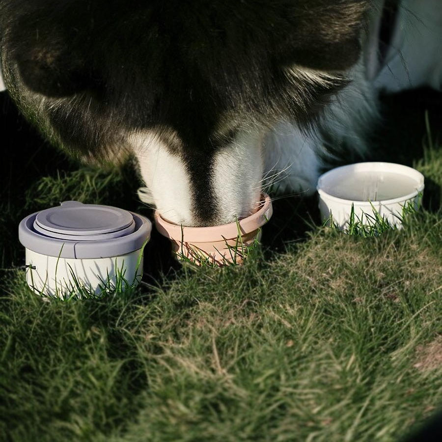 シリコンボウルセット ポータブルケース 多機能アウトドア折りたたみフィーディングボウル ピックアップバッグシリコンボウルセット屋外折りたたみフィーディングボウル