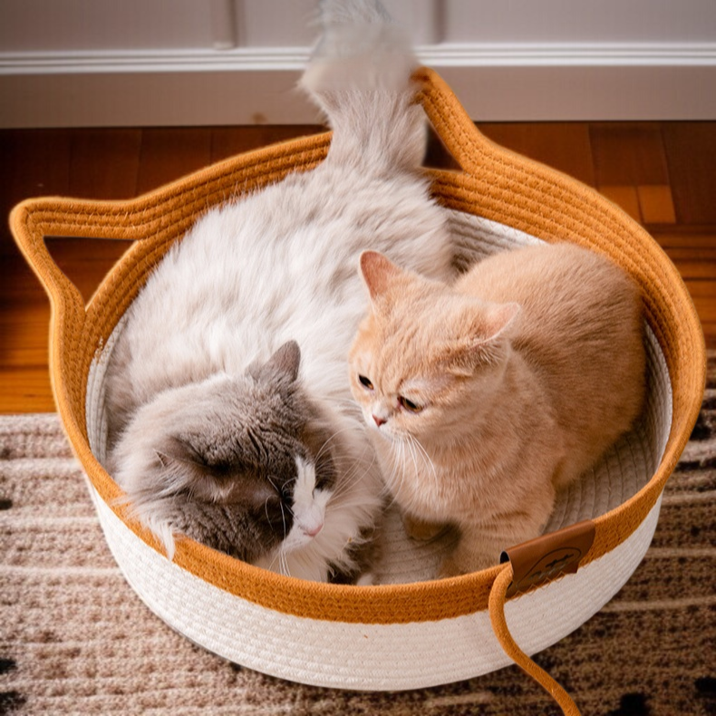 ペットが快適に眠る籐製ベッド