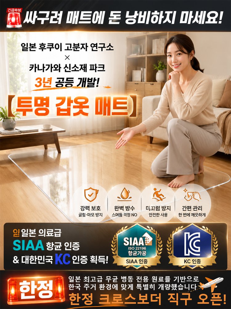 투명 보호막·집안 전용 스크래치 방지 매트