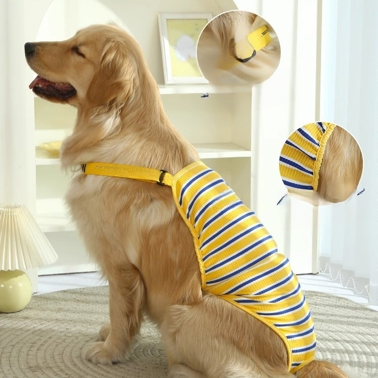 Dog physiological pants for large dogs to prevent mating