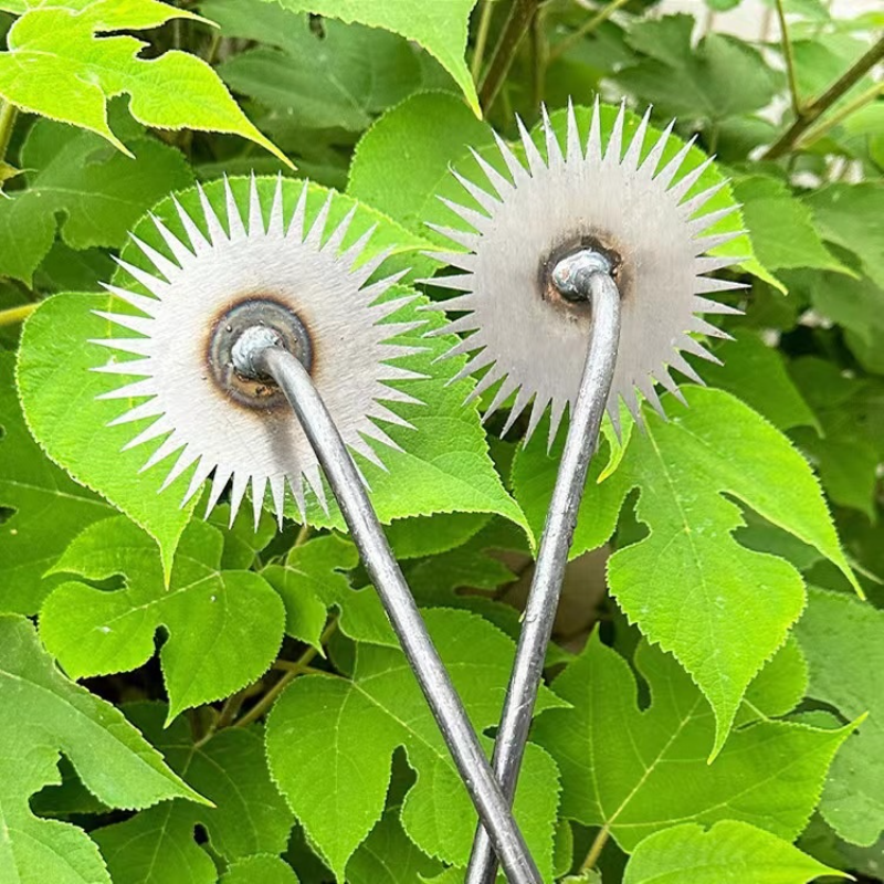 Sonnenblumen-Jäterechen