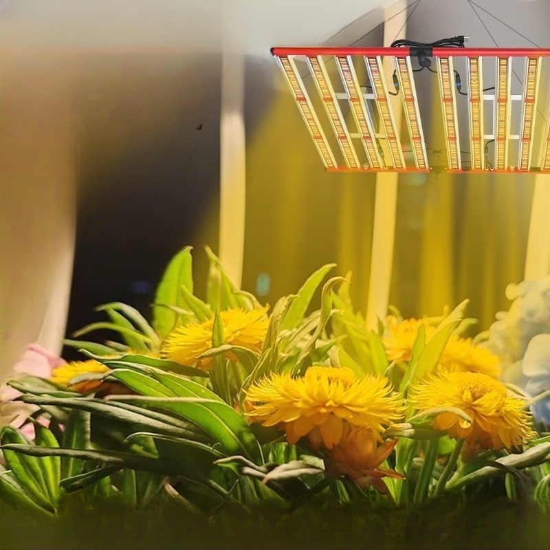 Plant growth lights