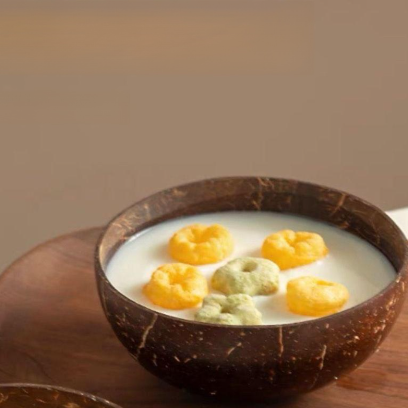 Czysta Natural Coconut Shell Bowl